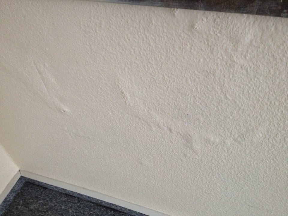 Zimmerwand Hotel Zum Eichbaum