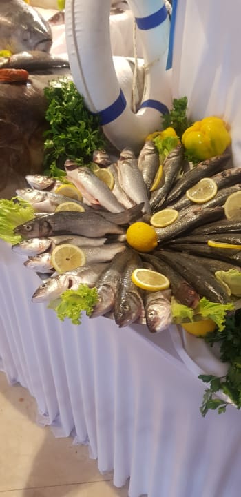 Gastro Adalya Elite Lara