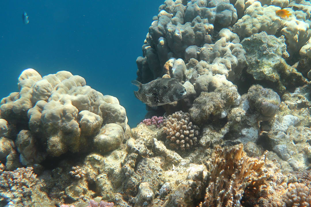 Sport & Freizeit Utopia Beach Club