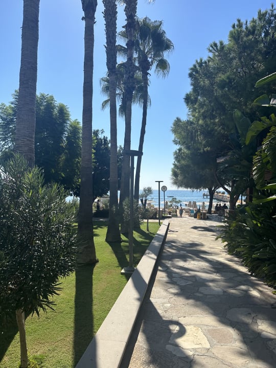 Gartenanlage Arum Barut Collection