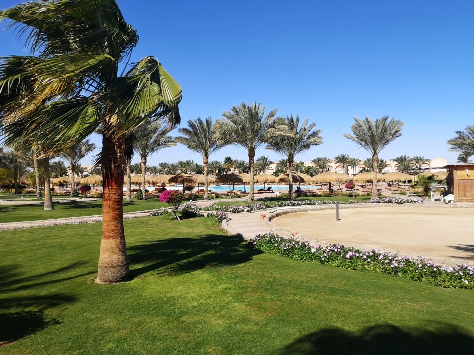 Pool Three Corners Sea Beach Resort