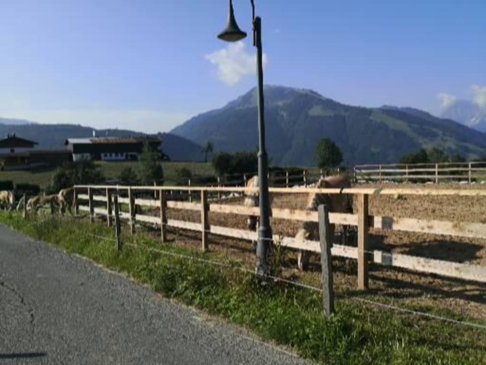 Außenansicht Wohlfühlresort Peternhof