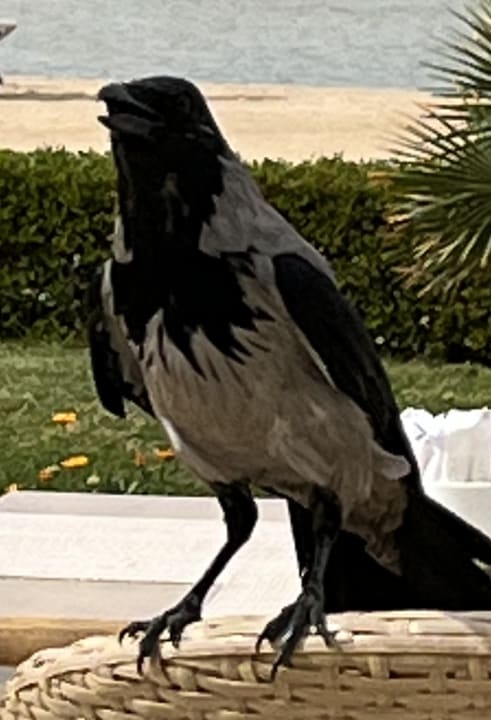 Außenansicht Cleopatra Luxury Resort Makadi Bay