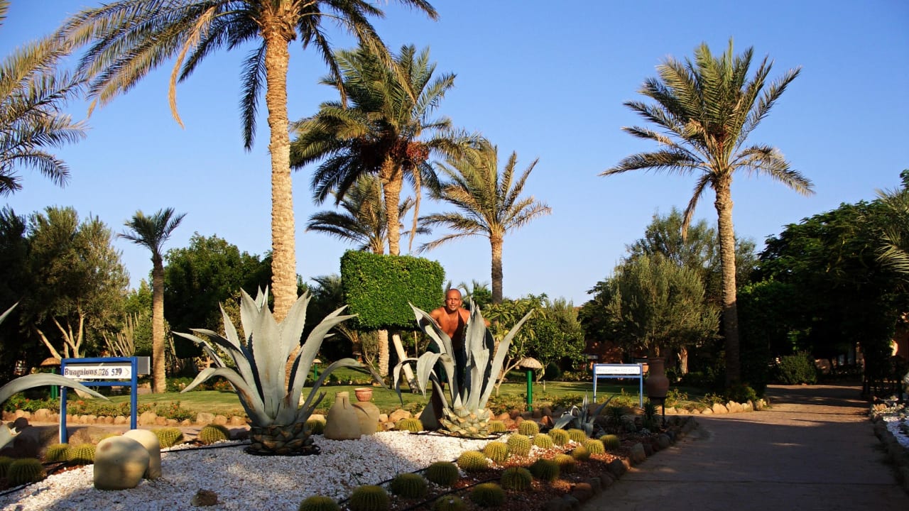Palmy, agáve, kaktusy... Hotel Nubian Village