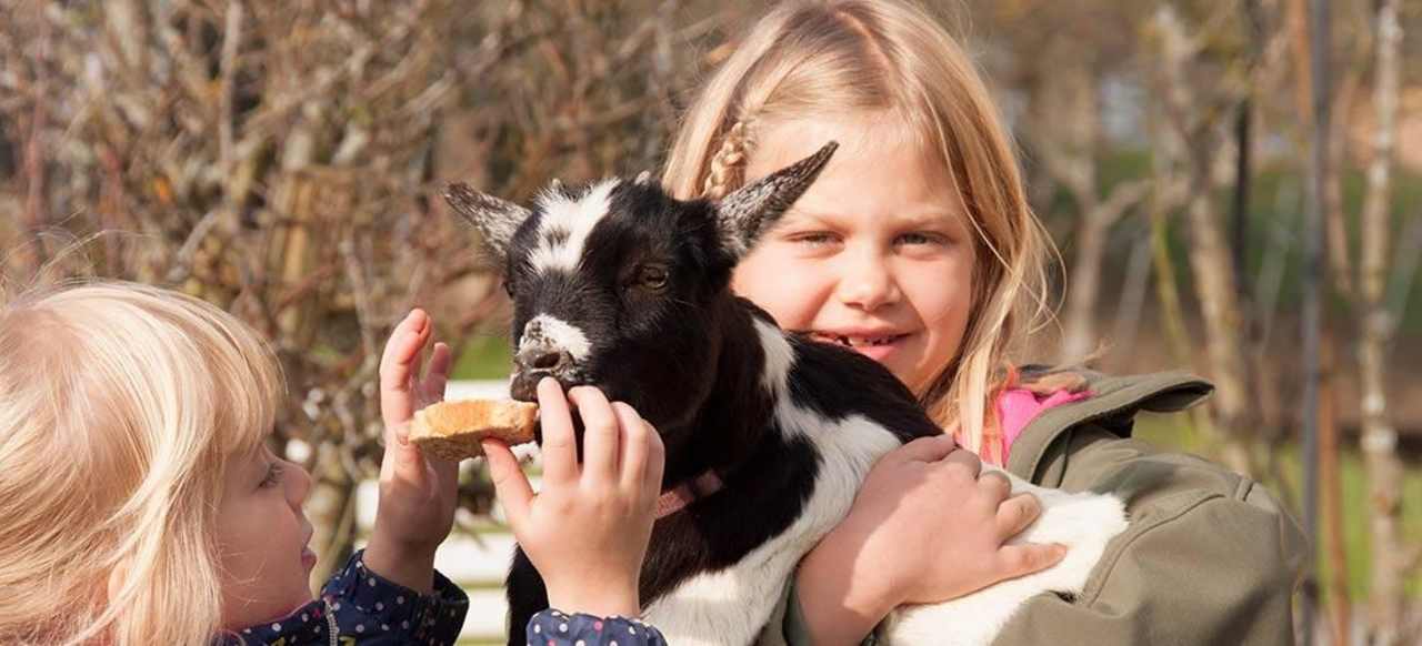 Arkadenhof Arkadenhof Familie Flasch