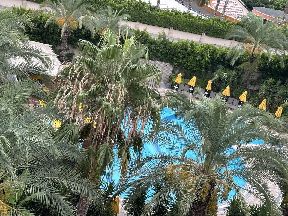 Pool Calimera Hane Garden