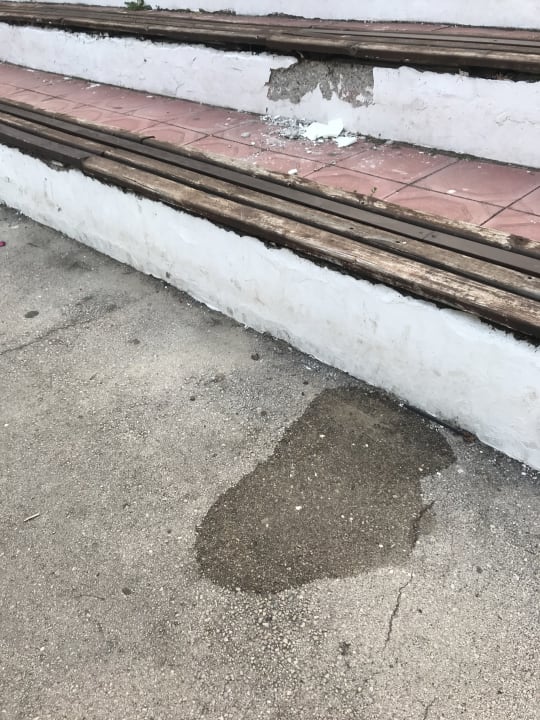 Sport & Freizeit Hotel Orchidea Park