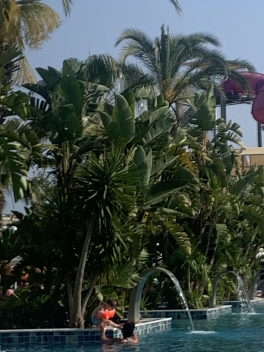 Pool Dream World Palace Hotel