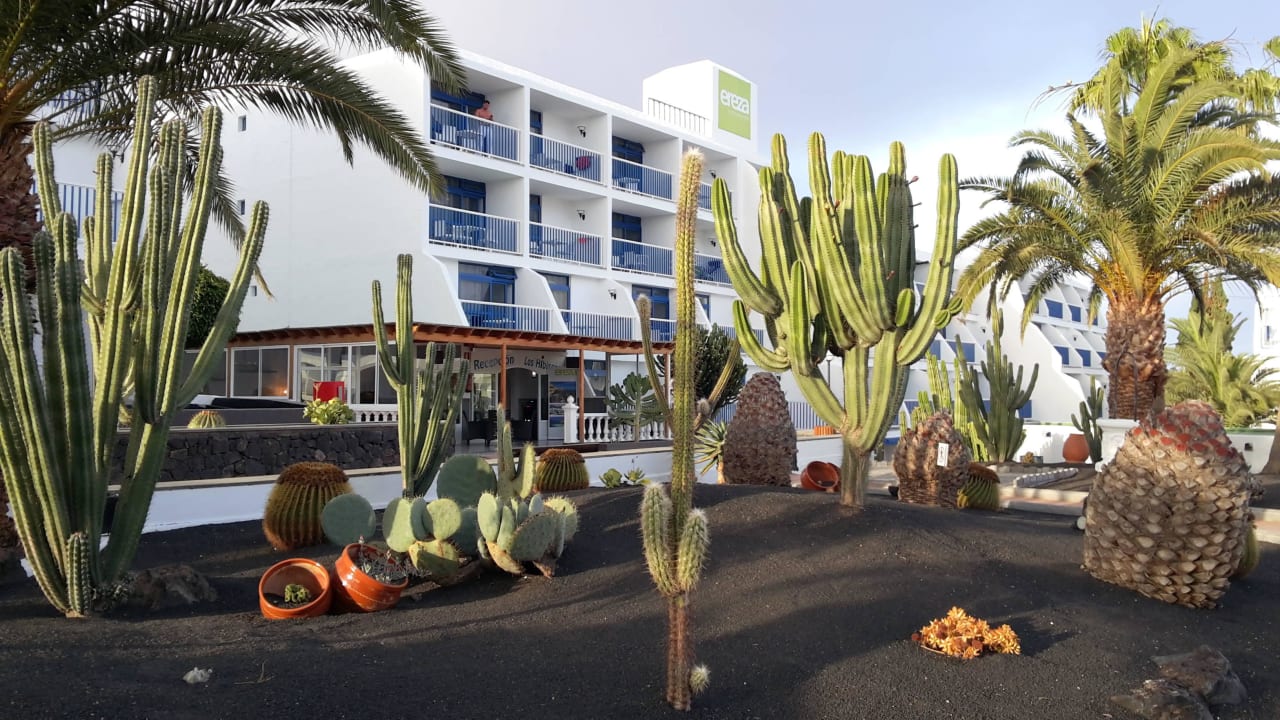 Schön gepflegte Gartenanlage Ereza Apartamentos Los Hibiscos- Adults Only