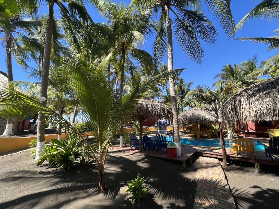 Gartenanlage Hotel Pez de Oro