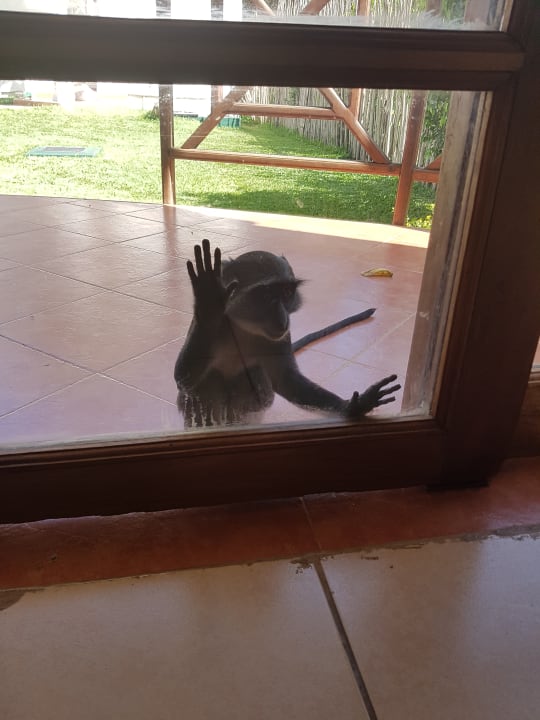 Zimmer Neptune Village Beach Resort & Spa