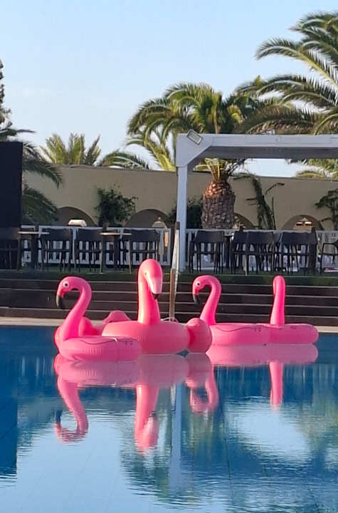 Gastro Aldiana Club Djerba Atlantide