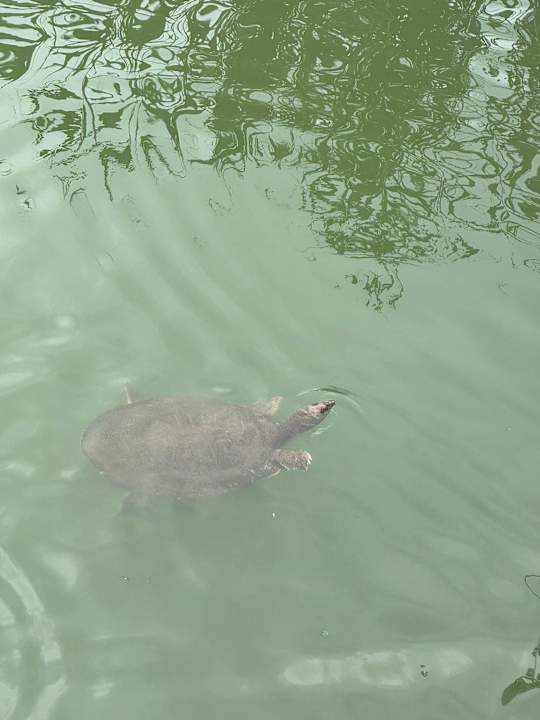 Strand Side Story Resort & Spa