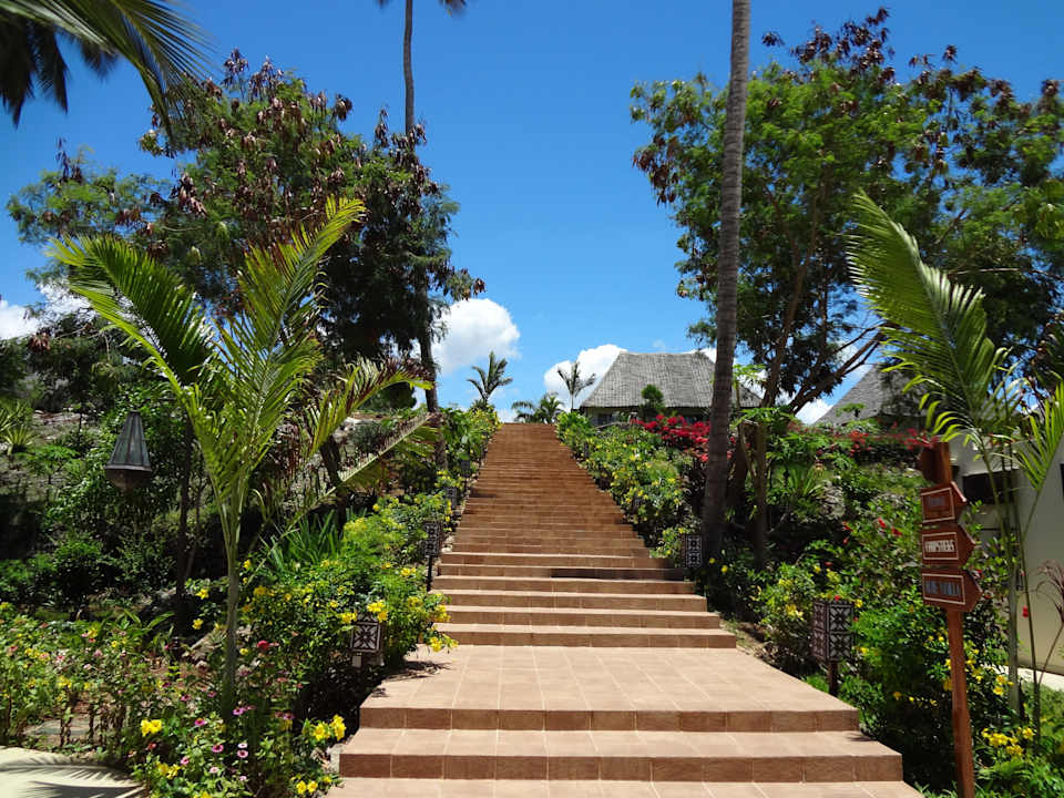 Ein Traum TUI Blue Bahari Zanzibar