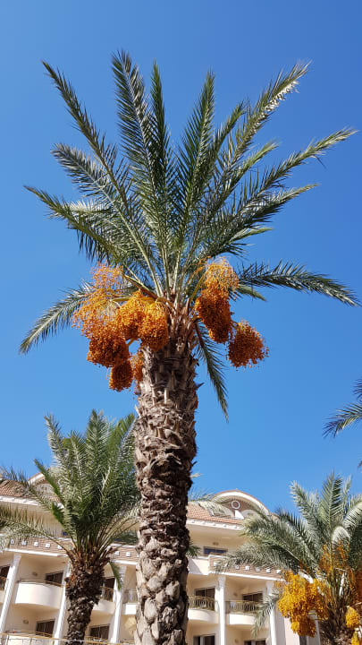 Außenansicht Kirman Belazur Resort & Spa
