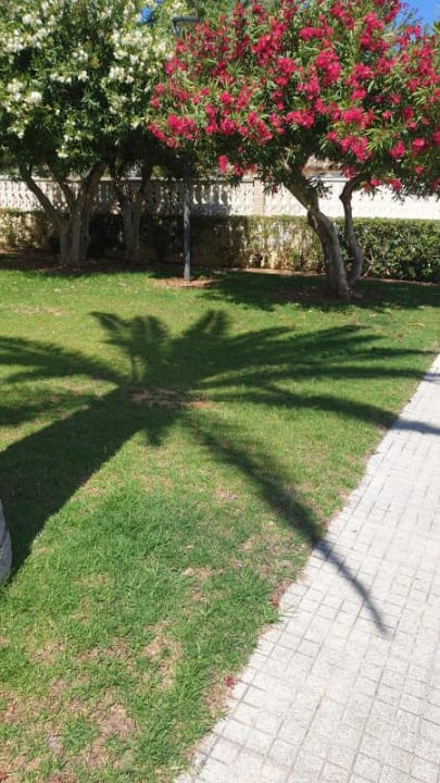 Außenansicht Grupotel Amapola