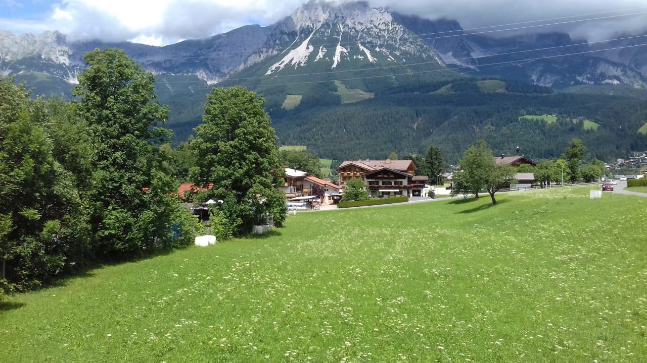 Ausblick Pension Erlenau