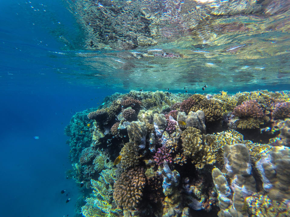 Strand Rohanou Beach Resort