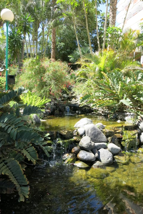 Goldfischteich allsun Hotel Lucana