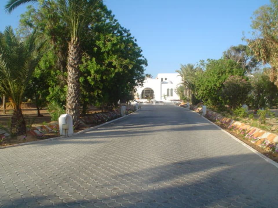 vor dem Hotel Hotel Meninx Djerba