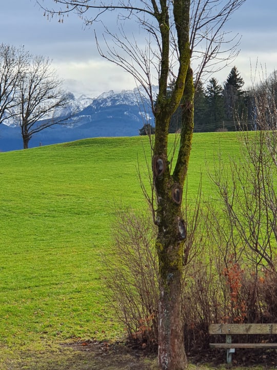 Ausblick Allgäu Ferienhaus Strobel