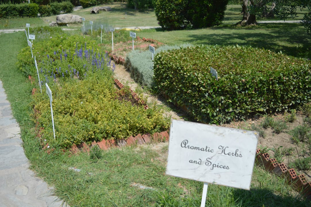 Zioła Hotel Athos Palace