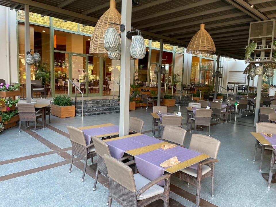 Gastro Arum Barut Collection