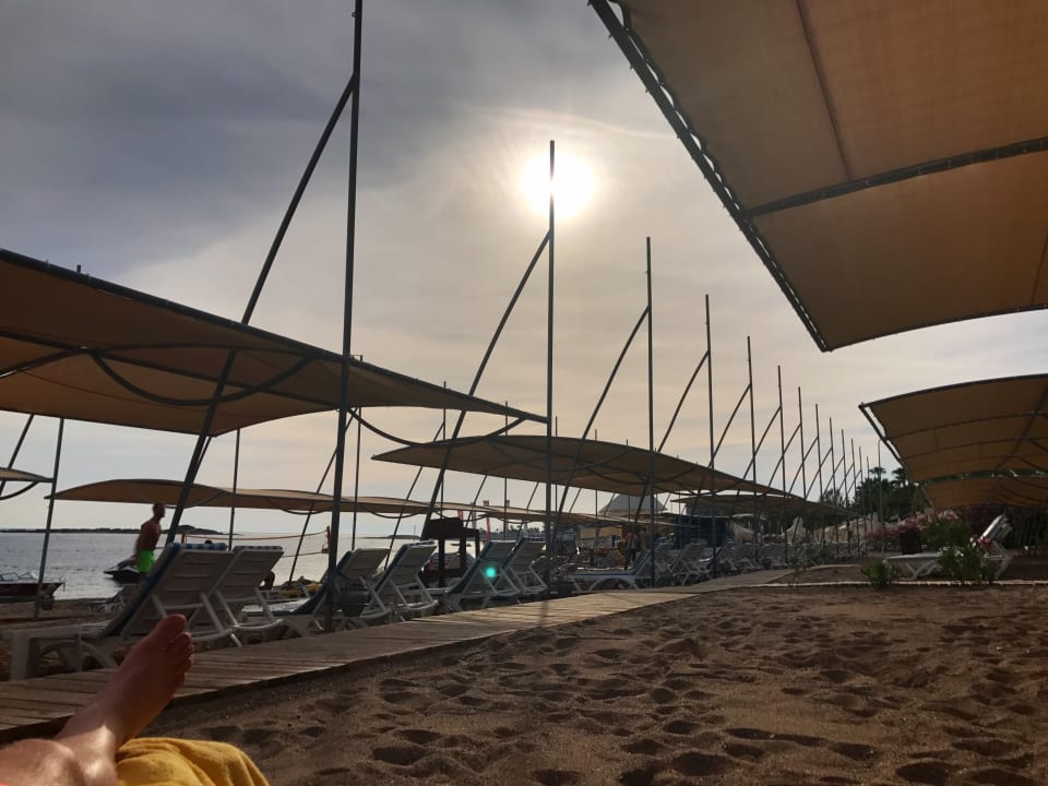 Strand Arycanda Kirman Premium