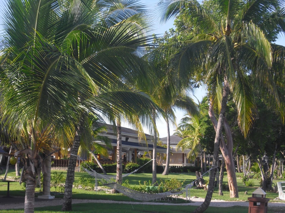Hier findet jeder sein Plätzchen Hotel Playa Pesquero