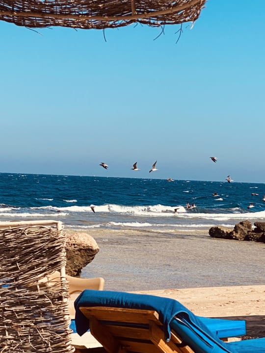 Strand Pickalbatros Citadel Resort