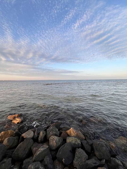 Ausblick Hotel Desert Rose Resort