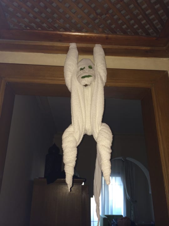 Affe vom Zimmerservice gemacht  Makadi Palace