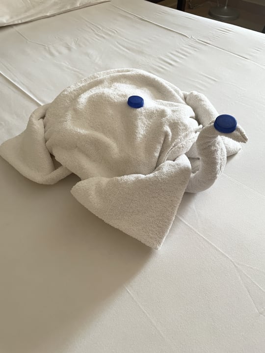 Zimmer Jaz Solaya