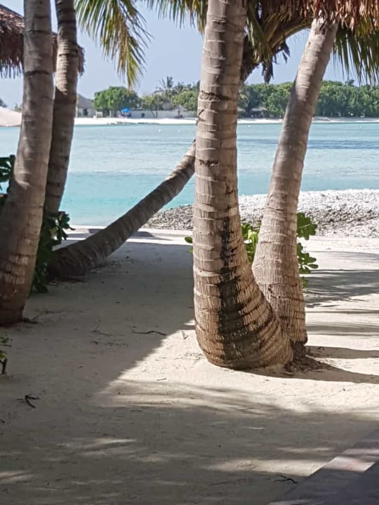 Strand Cinnamon Dhonveli Maldives