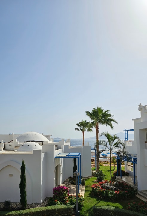 Ausblick Pickalbatros Palace Resort