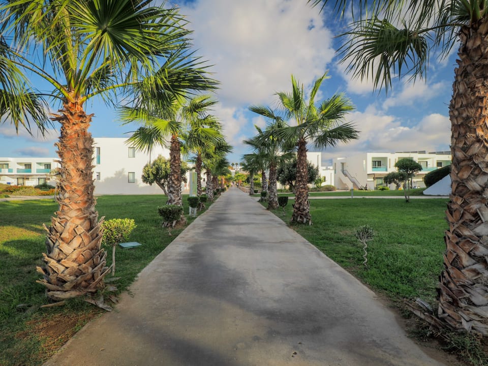 Gartenanlage Atlantica Plimmiri