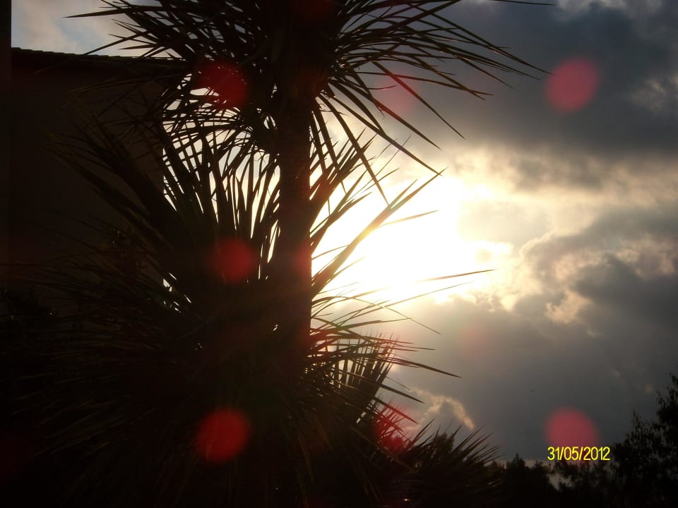 Blick in den Abendhimmel Hotel Club Paradiso