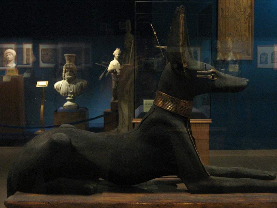 Экспонат музея Pickalbatros Alf Leila Wa Leila Resort - Neverland Hurghada