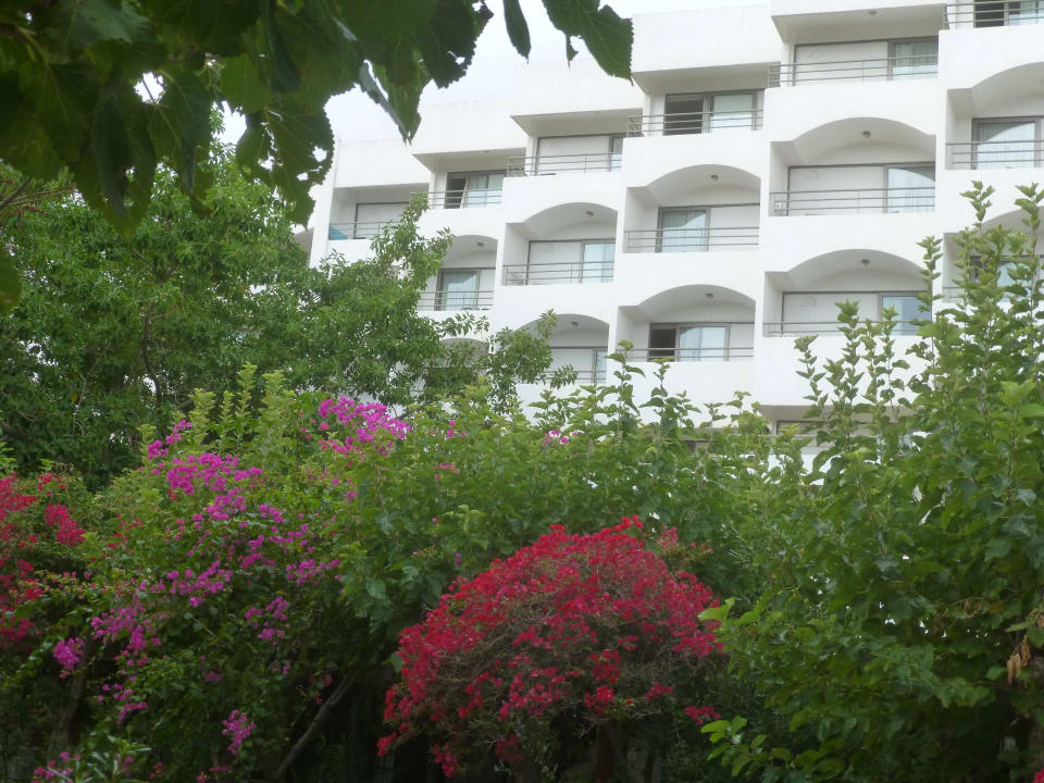 Hotel Apollonia Beach Resort & Spa