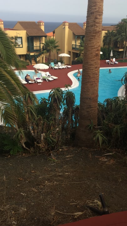 Pool Apartamentos Oasis San Antonio