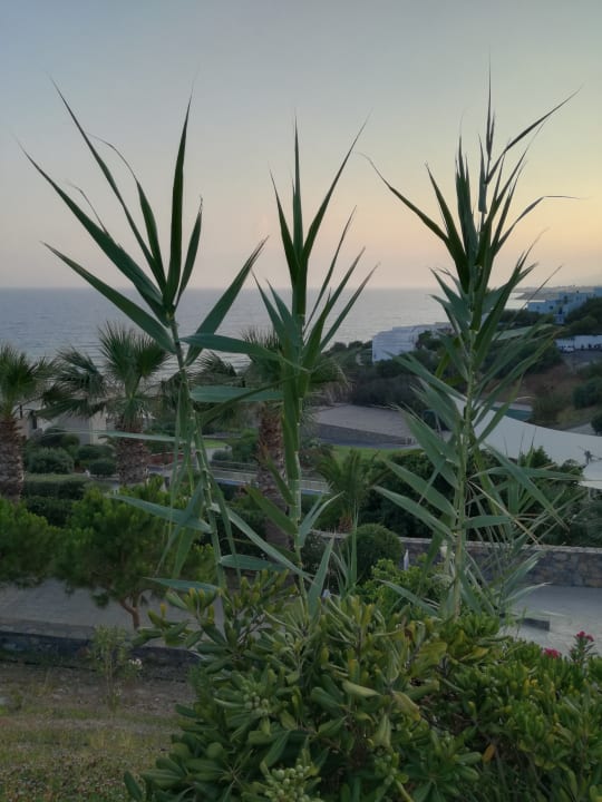 Ausblick Atlantica Mikri Poli Crete
