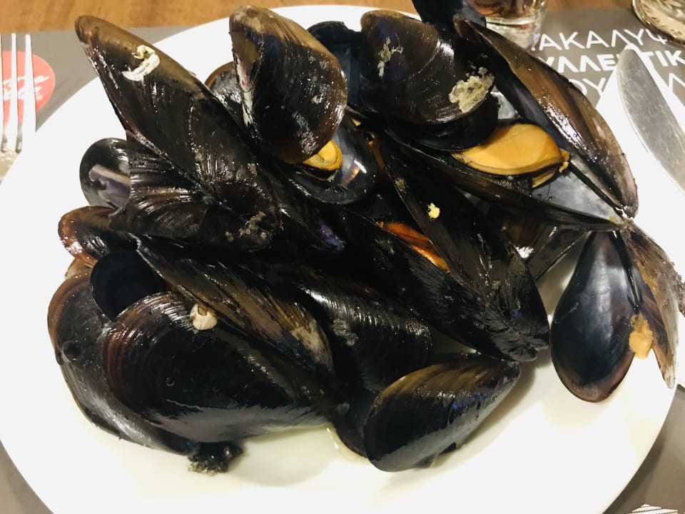 Gastro Aristoteles Holiday Resort & Spa