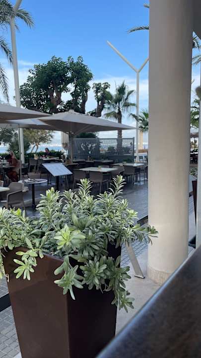 Ausblick allsun Hotel Marena Beach