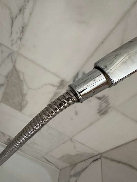 Zimmer Hotel Lippischer Hof