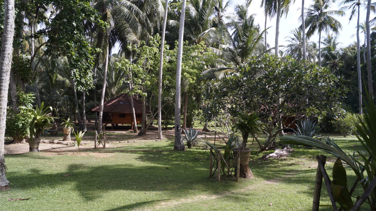Außenansicht Palm Paradise Cabanas
