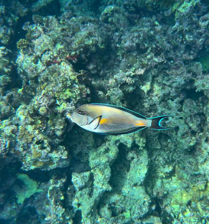 Strand Casa Mare Resort