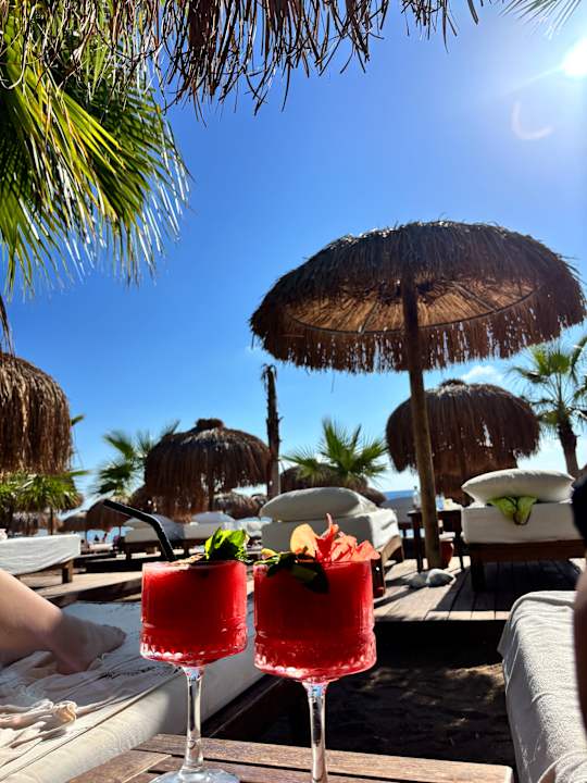 Gastro Rubi Platinum Sign