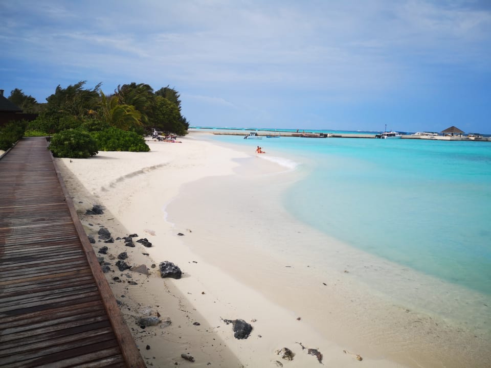 Strand Summer Island Maldives