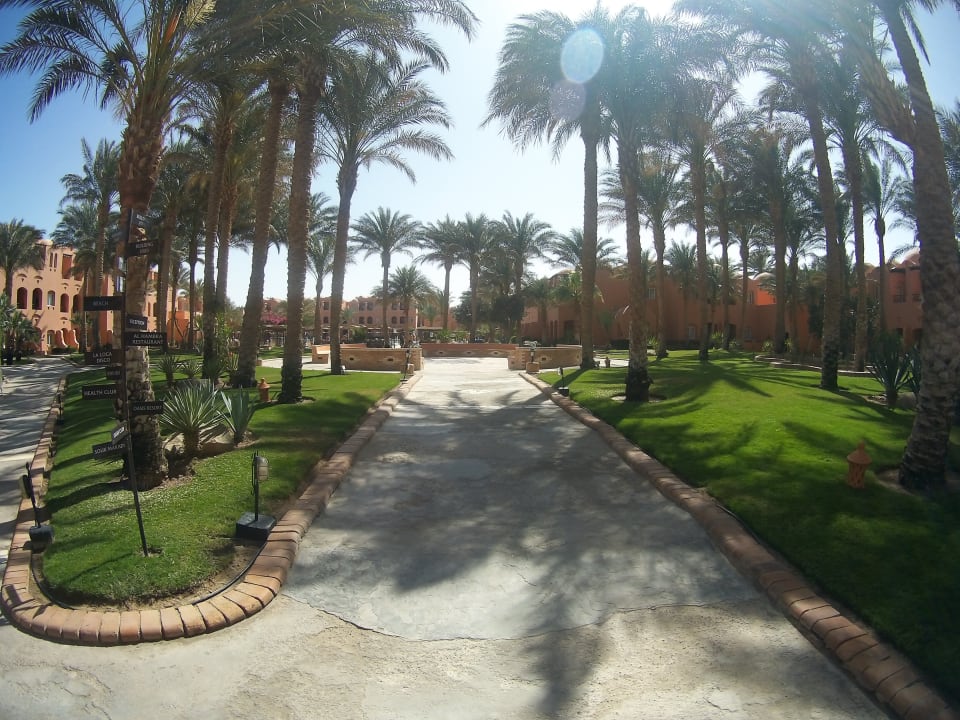 Gartenanlage Jaz Makadi Oasis Resort