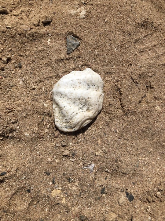 Strand Steigenberger Coraya Beach - Adults only